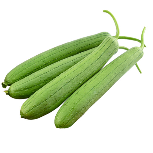 Patola